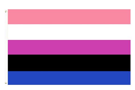 What Is The Omnisexual Pride Flag, And What Does。